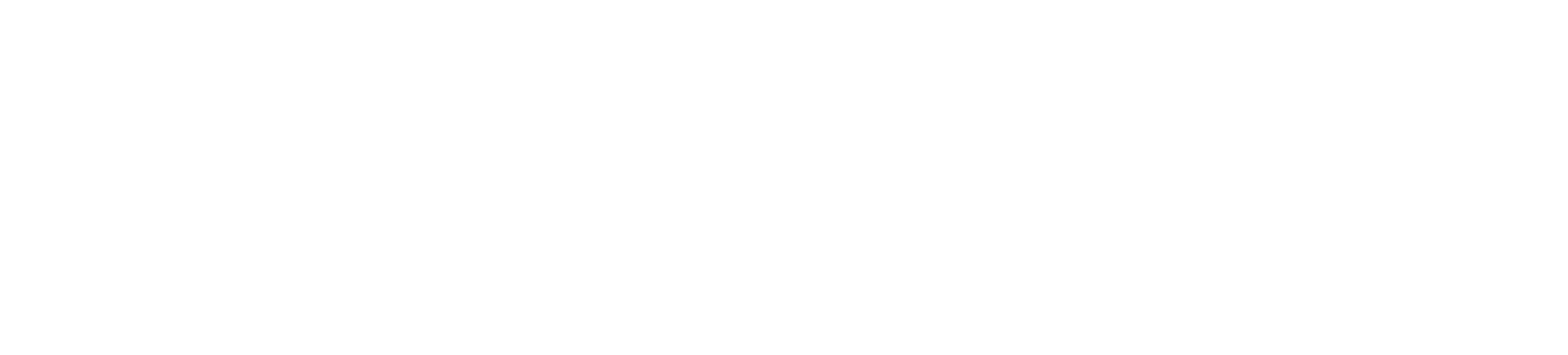 Blueberry Travel travel agent